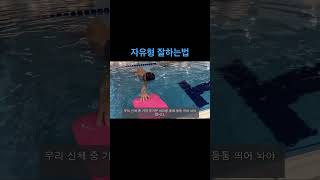 자유형 잘하는법 swimmingpool 자유형 수영선수 swim swimmingplayers swimpool [upl. by Mencher]