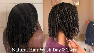 Natural Hair Wash Day amp Twist  Type 4 Natural Hair [upl. by Ahtis]