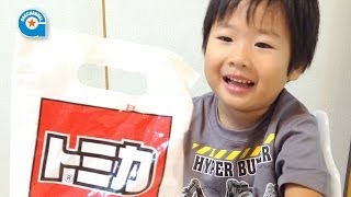 トミカNISSAN Rの系譜を開けました【がっちゃん4歳】TOMICA [upl. by Shulem]