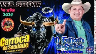 CARROÇA DA SAUDADE NA VIA SHOW  DJ TUBARÃO 140424 [upl. by Anabal]