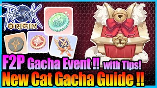 NEW Cat Gacha Box Event BEST Tips for F2P Ragnarok Origin Global [upl. by Chapin]