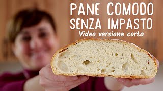 PANE COMODO FATTO IN CASA SENZA IMPASTO  Ricetta Facile Video Live versione corta [upl. by Querida218]