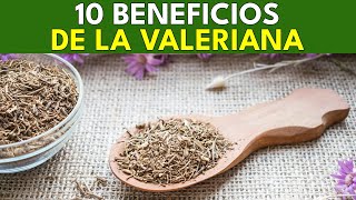 10 Beneficios Saludables de la Valeriana  BENEFICIOS SALUDABLES [upl. by Divadnahtanoj]