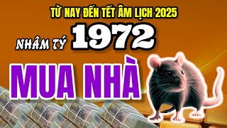 Dự đoán sốc Con giáp tuổi Nhâm Tý 1972 mua nhà tậu xe xã hội trầm trồ trước Tết 2025 [upl. by Assenar484]