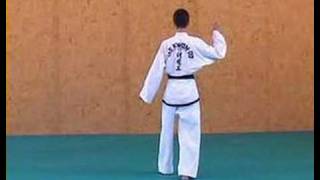 ITF TaekwonDo Patterns 12 of 14 KwangGae [upl. by Suter246]