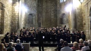 Cardoso  Introitus requiem [upl. by Sella]