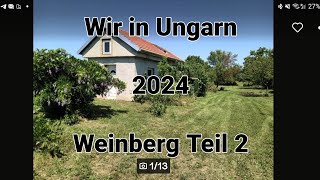 Wir in Ungarn quotWeinbergquot Teil 2 [upl. by Llerral]