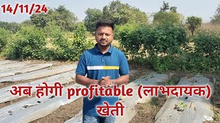 अब होगी profitable लाभदायक खेती PranavChaudhary Mo95749 12726 [upl. by Anwahsiek320]