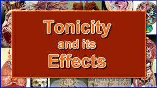 Red Blood Cells Osmosis and the Tonicity Experiment [upl. by Benco]