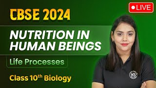 Nutrition In Human Beings  Life Processes Class 10 Biology  Shipra Mam [upl. by Aynav]