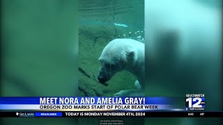 Oregon Zoo celebrates Polar Bear Week [upl. by Atinihc606]