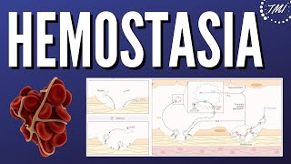 Hemostasia Primaria y Agregación Plaquetar [upl. by Durwin]