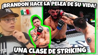 BRANDON MORENO le da UN BAILE a ALBAZI en el STRIKING💥 la pelea de SU VIDA🇲🇽 [upl. by Acinej]