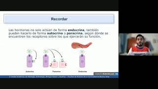 VIDEHISTO 47  Sistema endocrino  Generalidades hormona receptor y concepto de eje [upl. by Dymoke]