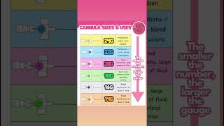 Types of cannula sizes amp uses trending youtube injection nursing [upl. by Menon]