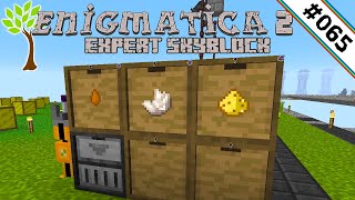 ∞ Quartz🌳 Enigmatica 2 Expert Skyblock 065 [upl. by Rosabelle]