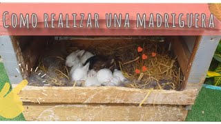 COMO HACER UNA MADRIGUERA PARA CONEJOS  BURROW RABBITS 🐇 CON RECICLAJE  📦♻️ [upl. by Htezzil]