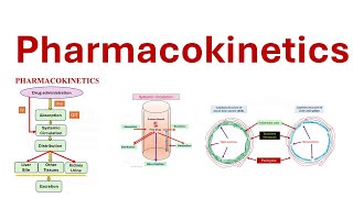 Pharmacokinetics ADME Absorption Distribution Metabolism Elimination [upl. by Maxey]