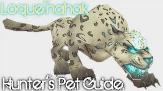 LoqueNahak  WoW Rare Hunters Pet Guide [upl. by Nytsyrk]