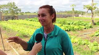 Agricultora de Arapiraca garante renda familiar produzindo hortaliças [upl. by Horick]