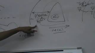 Respiratory Revision Intro  Respiratory and Intrapleural Pressure Dr Mohamed Fayez [upl. by Metzger98]