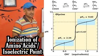 Ionization of Amino Acids and Concept of pI  pK  Isoelectric Point  Dr Nagendra Singh  PENS2 [upl. by Ahsened]