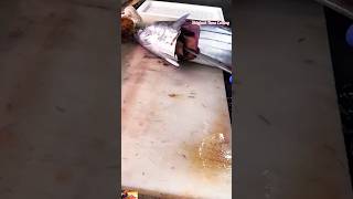 100 lb Skipjack Tuna Slicing Amazing Knife Skills skipjacktuna cutter short viral fishcutting [upl. by Euqinu]