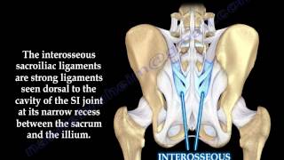 Sacroiliac Joint Dysfunction Anatomy Animation  Everything You Need To Know  Dr Nabil Ebraheim [upl. by Debora]