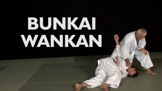 Karate  bunkai Wankan avec sensei JeanPierre Lavorato [upl. by Kayne]