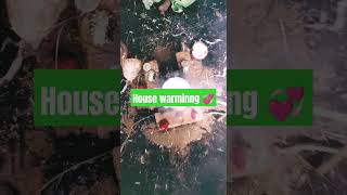 music arijitsingh my viral House warminng villagevlog [upl. by Aicaca]