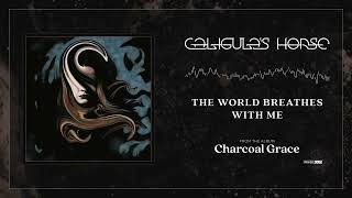 CALIGULAS HORSE  The World Breathes with Me VISUALIZER VIDEO [upl. by Kelila]