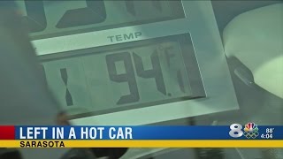 Sarasota Memorial Hospital demonstrates hot car danger [upl. by Yemarej]