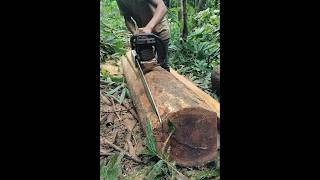 Stihl chainsaw beautiful block size cutting stihl stihlchainsaw woodcutting [upl. by Arten]