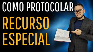 Como protocolar RECURSO ESPECIAL TJSP [upl. by Kassi]