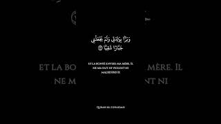 Sourate Maryam Muhammad Al Luhaidan [upl. by Julee]