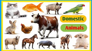 Domestic animals name  20 domestic animals name in english  pet animals name [upl. by Belshin840]