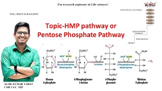 Hexose monophosphate Pathway orHMP Pathway [upl. by Pengelly]