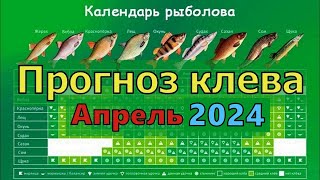 Календарь рыбака на Апрель2024 Прогноз клева рыбы на Апрель Лунный календарь рыболова Апрель 2024 [upl. by Spanjian]