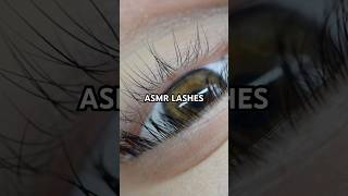 Lash with me asmr contentcreator lashista parati lashextensions lashes [upl. by Nnylrefinnej]