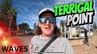 TERRIGAL POINT SURF BIG WAVES SURFING  CENTRAL COAST AUSTRALIA DJI MINI3 [upl. by Eiryt621]