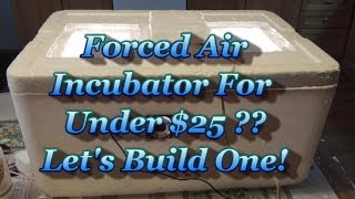 Build a Forced Air Incubator For UNDER 25 [upl. by Leonardi]