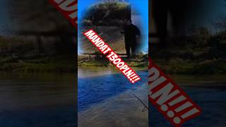 Mandat 1300pln ultralight wędkarstwo fishing spinning streetfishing river rzeszów mandat [upl. by Reivad752]