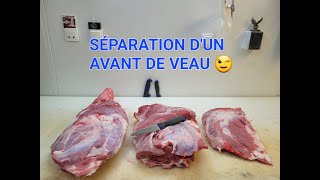 Séparation dun avant de veau par FIFI LE CEVENOL [upl. by Felt141]