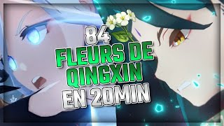 Localisation Fleurs de Qingxin  Optimisation Farm  Matériaux Shenhe Ganyu amp Xiao  Genshin Impact [upl. by Acinonrev]