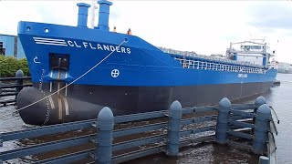 🆕 Magnificent Blue Colored CL FLANDERS On Its Way To The New Owner  2919NL [upl. by Gerda]