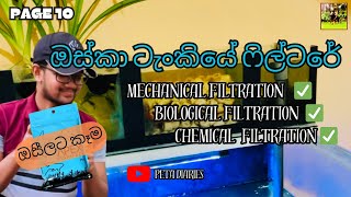 Filter system for oscar fish tank 😇✌ ඔසී ටැංකියේ ෆිල්ටරේ filtersystem oscar feeding [upl. by Spragens]