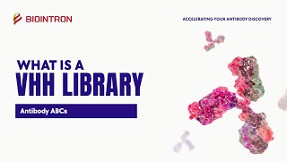 Antibody ABCs What is a VHH Library [upl. by Jerroll222]