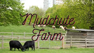 Sunny day at Mudchute Farm  East London [upl. by Gaven]