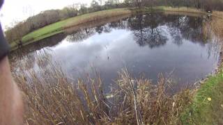 Trout Fishing At Rockbourne Fishery Hampshire [upl. by Bruce]