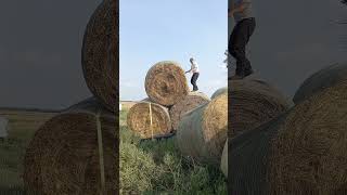 1000 lbs Round Bales [upl. by Salot934]